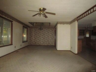 152 County Road 452, Poplar Bluff, MO 63901 - photo 3