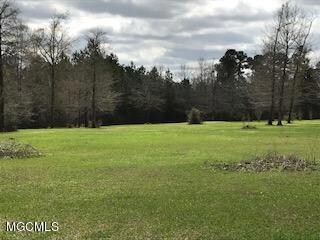 28272 Berry Patch Rd, Picayune, MS 39466 - photo 7