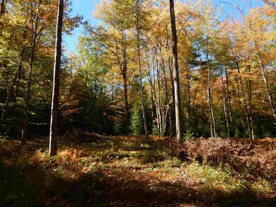 12 Chalk Pond Rd, Newbury, NH 03255 - photo 3