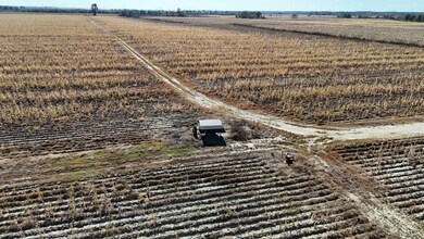 Highway 183 Lot unit Wp001, Holly Ridge, LA 71269 - photo 6