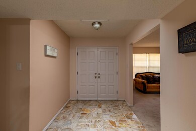 10620 Janway Dr, El Paso, TX 79935 - photo 7