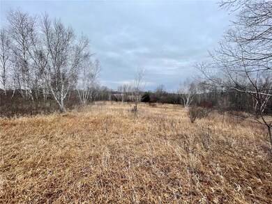 XXX 85th Avenue Ave, Dresser, WI 54009 - photo 6