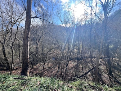 99999 Ky 2030, Martin, KY 41649 - photo 5