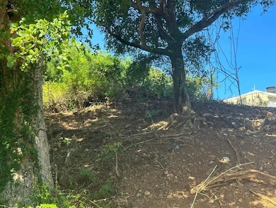 Carr 485 Carr 485, Camuy, PR 00627 - photo 4