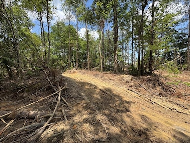 0 Tbd Libuse Cutoff Rd, Pineville, LA 71360 - photo 6