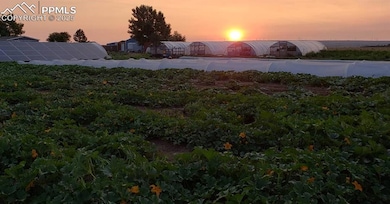 7545 Log Rd, Peyton, CO 80831 - photo 5