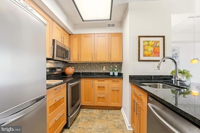 The Chase at Bethesda, Bethesda, MD 20814 - photo 7