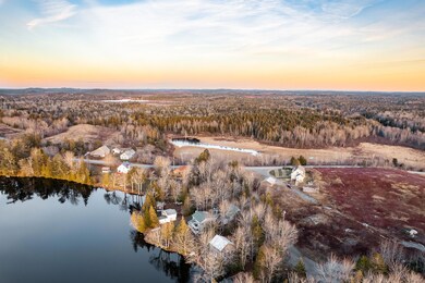 Bird View 3