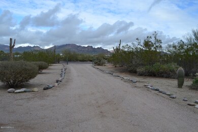 Driveway View