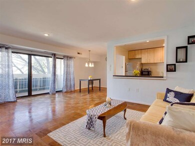 6139 Leesburg Pike unit 406, Baileys Crossroads, VA 22041 - photo 3