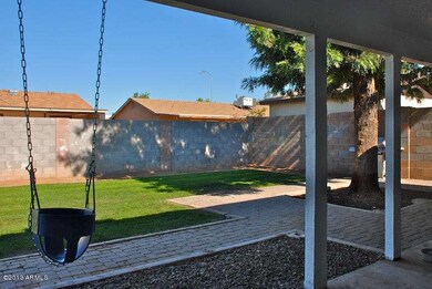 Backyard 4