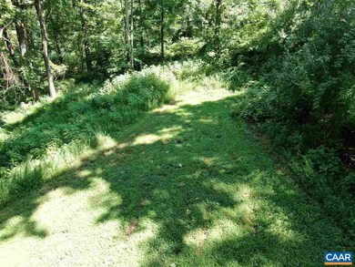 0 White Eagle Ln unit 610305, Charlottesville, VA 22903 - photo 4