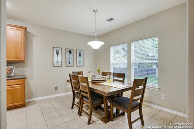 10522 Cosmos Canyon, Helotes, TX 78023 - photo 7