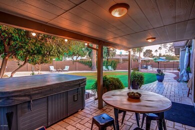 View from Spa to backyard