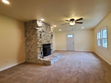 218 W Allen St, Kentland, IN 47951 - photo 4