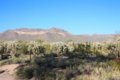 IMG_4598