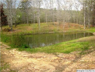 Pond
