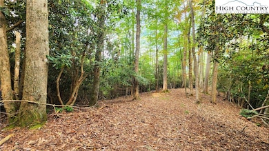 Lot 49 Abaco Dr, Vilas, NC 28692 - photo 5