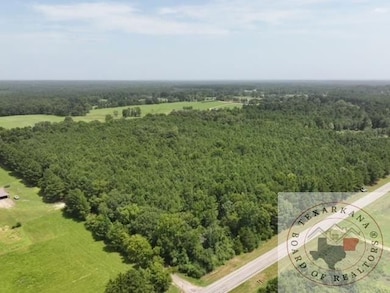 Tbd Fm 2149, Maud, TX 75567 - photo 3