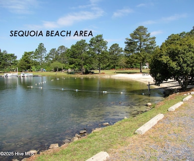 233 Devonshire Ave W, Seven Lakes, NC 27376 - photo 3