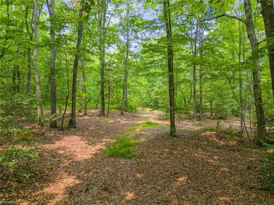 0 Mount Lebanon Rd unit 1113657, Troy, NC 27371 - photo 5