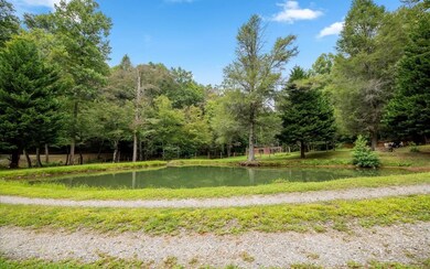 389 Ross Creek Rd, Ellijay, GA 30540 - photo 3