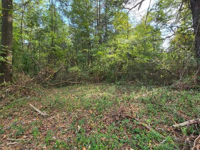 301 Cavender St, La Fayette, GA 30728 - photo 7