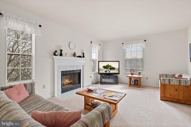 137 Northampton Blvd, Stafford, VA 22554 - photo 7