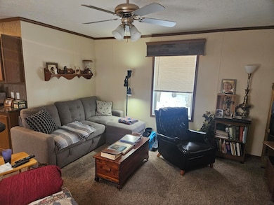 12857 Michael Dr unit 49, Wayland, MI 49348 - photo 2