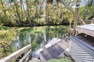 6110 Bear Trail, Weeki Wachee, FL 34607 - photo 7