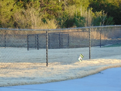 Evergreen Farms Dog Park File Photo