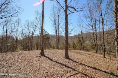 2011 W Hwy 524 unit TRACT 2, La Grange, KY 40031 - photo 6