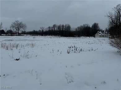 7489 Tallmadge Rd Parcel 1, Rootstown, OH 44272 - photo 2