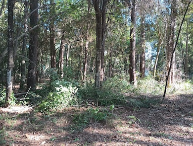 0 Wickford and Little John unit 86445316, Ivanhoe, TX 75447 - photo 5