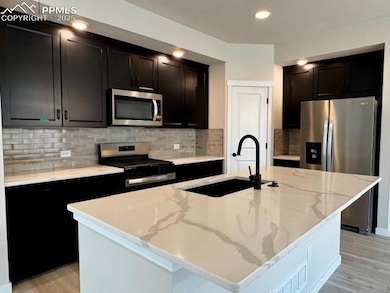 17683 Brass Buckle Way, Monument, CO 80132 - photo 5