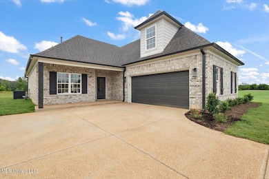 6394 Jameson Cove, Walls, MS 38680 - photo 2