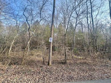 Lot 1 Radford Rd, East Bernstadt, KY 40729 - photo 6
