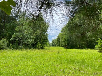 0 Mill Creek Rd unit 7001759, Huntington, TX 75949 - photo 3