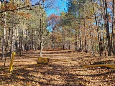 3385 Jones Rd, Beaverton, MI 48612 - photo 5