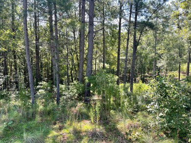 00 Tucker Ln unit .92 Acre, Burnettown, SC 29829 - photo 3
