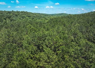 0 Highway B unit 11555621, Ellington, MO 63638 - photo 5