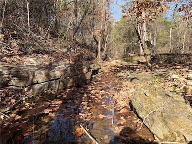 0 Owens Ln, Peel, AR 72668 - photo 2