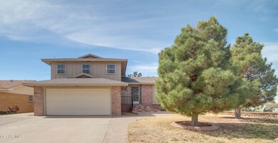 Sea Foam 11108 3.5.24 RT (11)