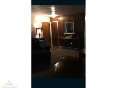 unlisted-address, Lansing, MI 48911 - photo 7