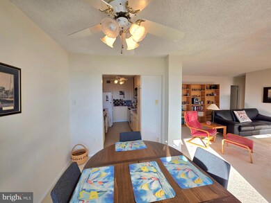 Hunting Creek Club unit 903, Alexandria, VA 22303 - photo 7