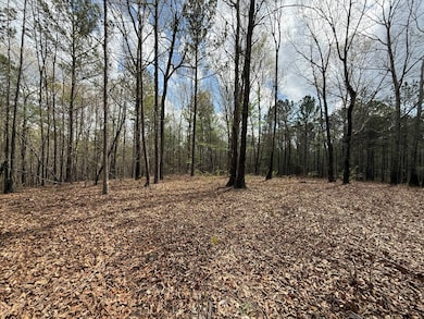 0 Berney Station Rd unit 11477272, Talladega, AL 35160 - photo 7