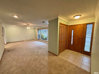 1401 6th St unit A, Orion, IL 61273 - photo 4