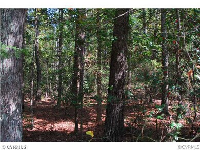 13350 Elmont Rd, Ashland, VA 23005 - photo 2