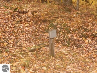 1733 Richard Dr, West Branch, MI 48661 - photo 7