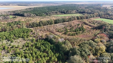 00 Burke Rd, Hessmer, LA 71341 - photo 3